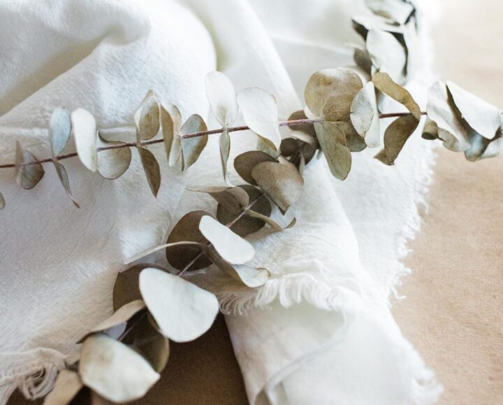 linen-fabric-dried-plant